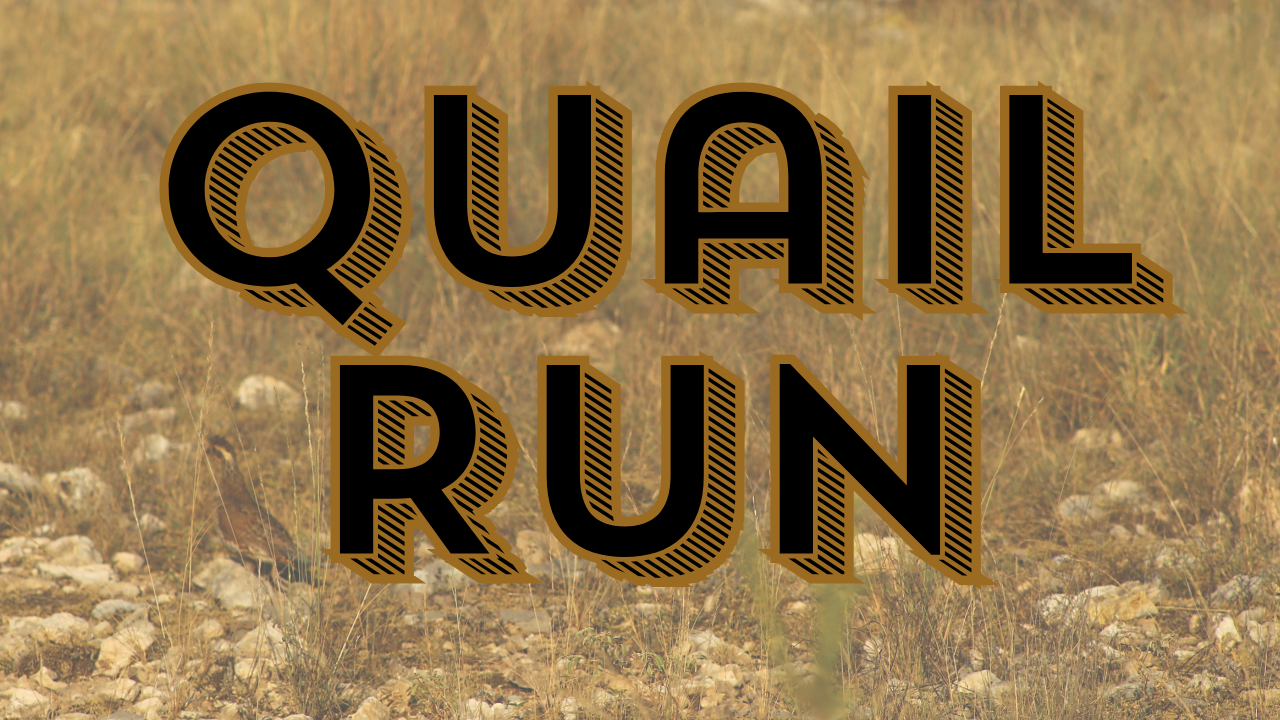 Quail Run Ranch, Texas