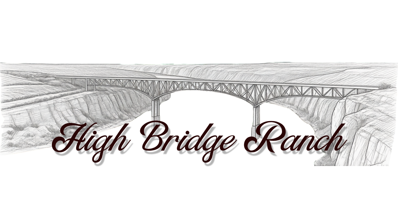 High Bridge Ranch, Texas