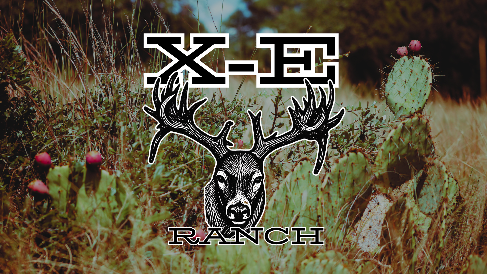 X-E Ranch, Texas