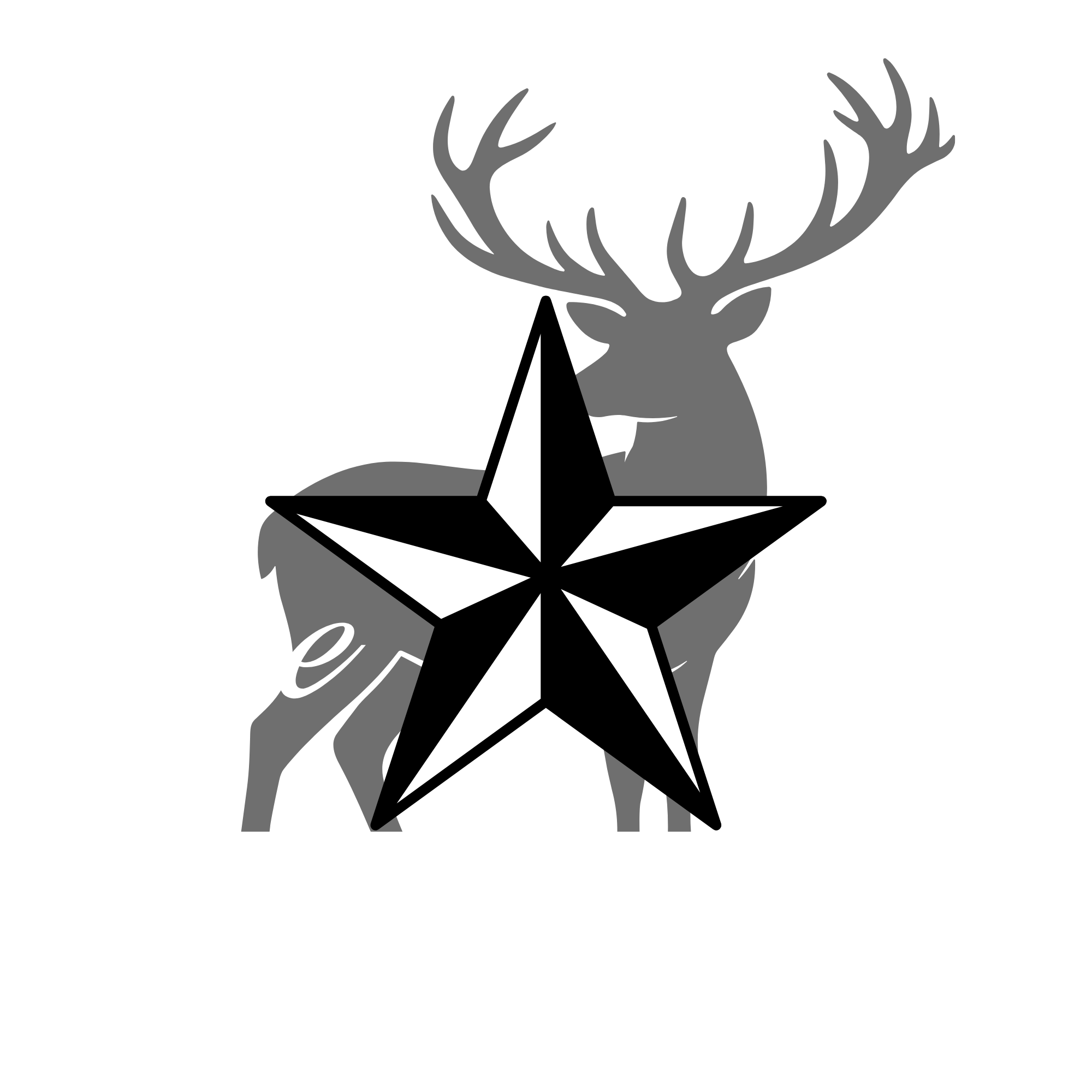 Lone Star Ranch, Texas
